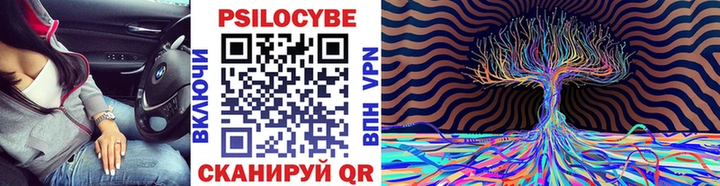 где купить наркотик  Темников  Псилоцибиновые грибы Psilocybe 